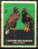 Munchen Tierpark Hellabrunn Adler Hohlwein